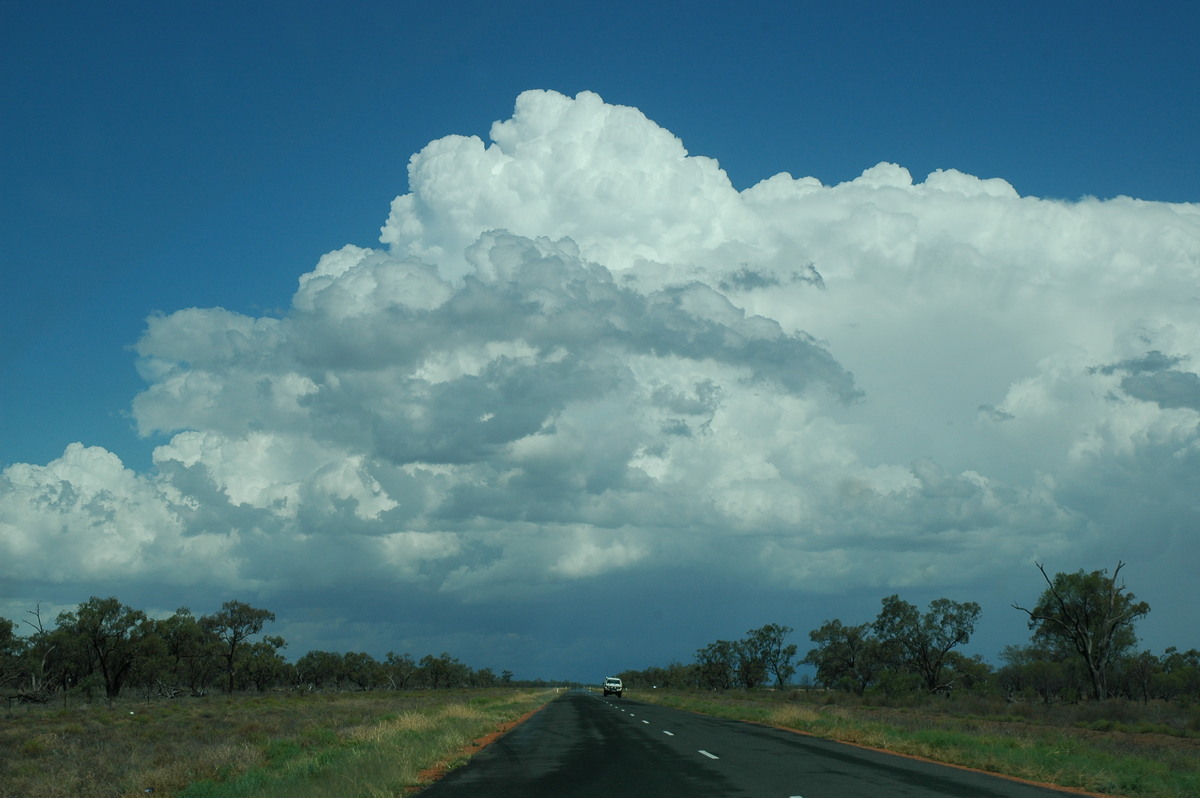 cumulonimbus supercell_thunderstorm : W of Walgett, NSW   8 December 2004