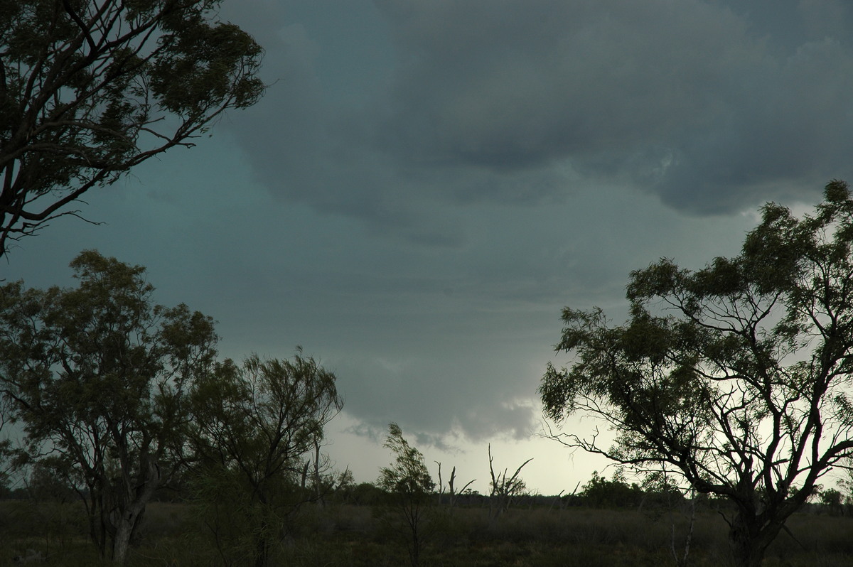 wallcloud thunderstorm_wall_cloud : W of Walgett, NSW   8 December 2004