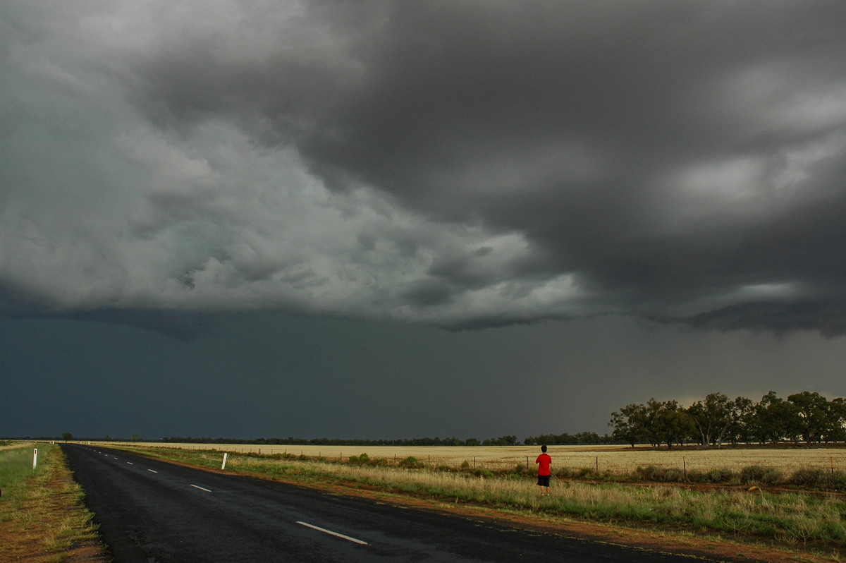 cumulonimbus thunderstorm_base : S of Walgett, NSW   8 December 2004