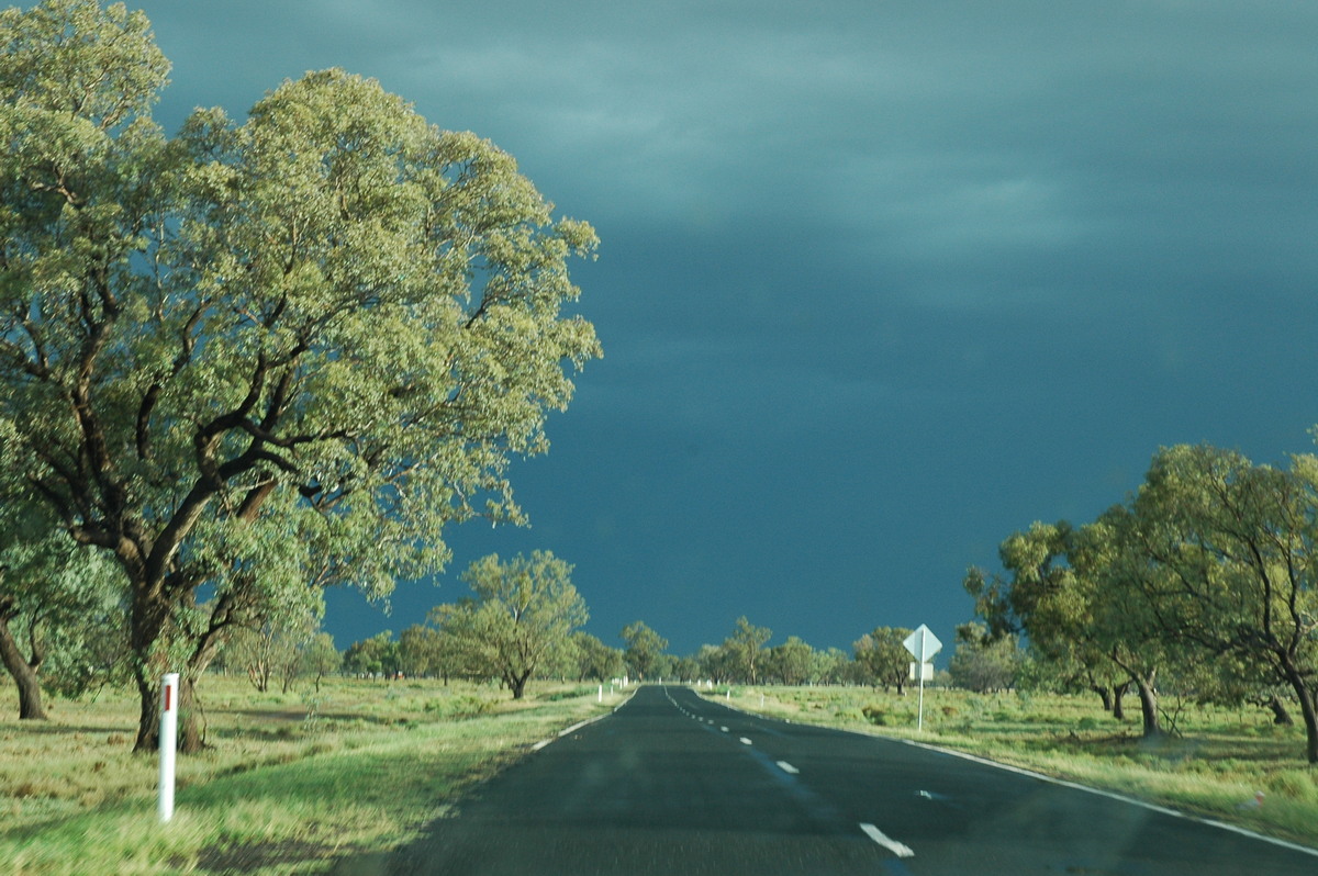 cumulonimbus thunderstorm_base : S of Walgett, NSW   8 December 2004