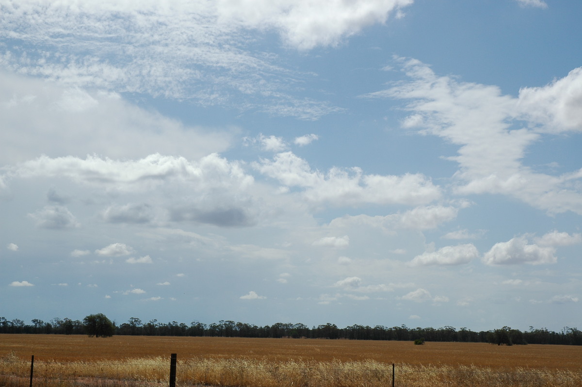 thunderstorm cumulonimbus_incus : near Dubbo, NSW   9 December 2004