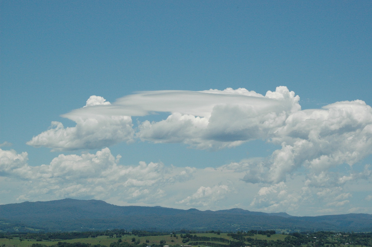 altocumulus lenticularis : McLeans Ridges, NSW   12 December 2004