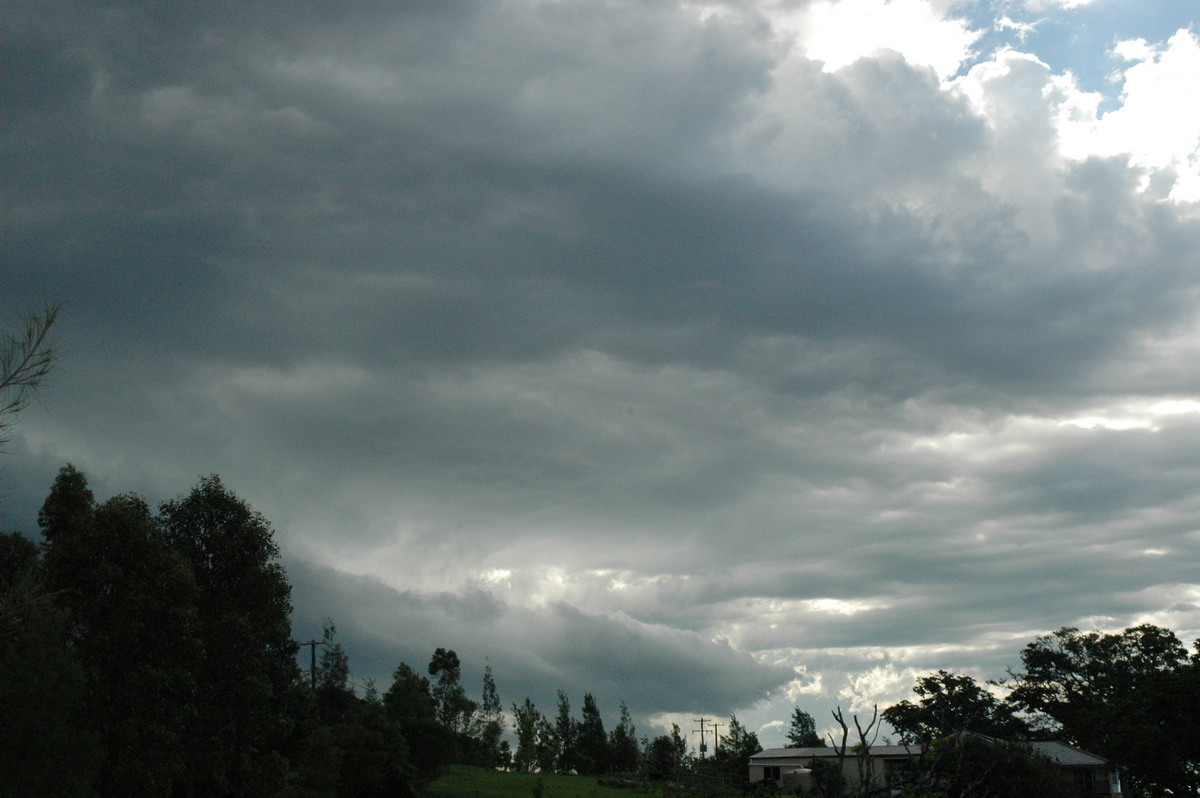 cumulonimbus thunderstorm_base : McLeans Ridges, NSW   12 December 2004