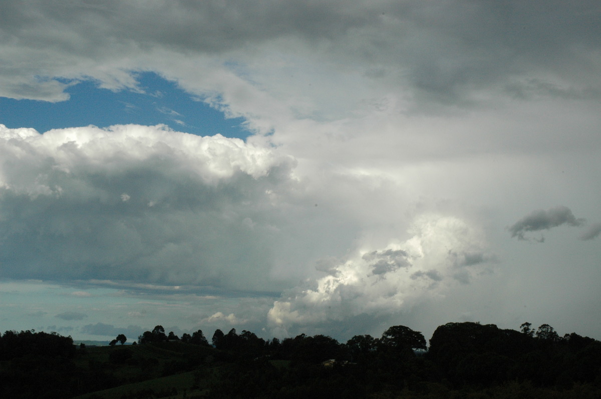 cumulus congestus : McLeans Ridges, NSW   12 December 2004