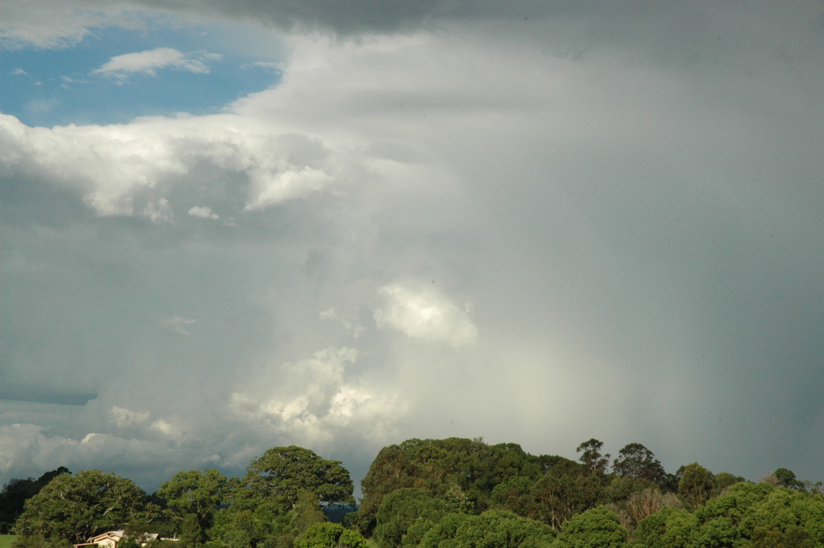 raincascade precipitation_cascade : McLeans Ridges, NSW   12 December 2004