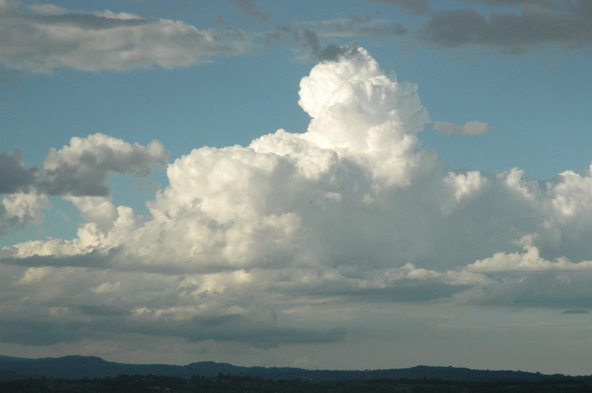 cumulus congestus : McLeans Ridges, NSW   12 December 2004