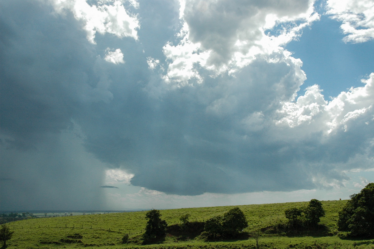 cumulonimbus thunderstorm_base : Parrots Nest, NSW   13 December 2004