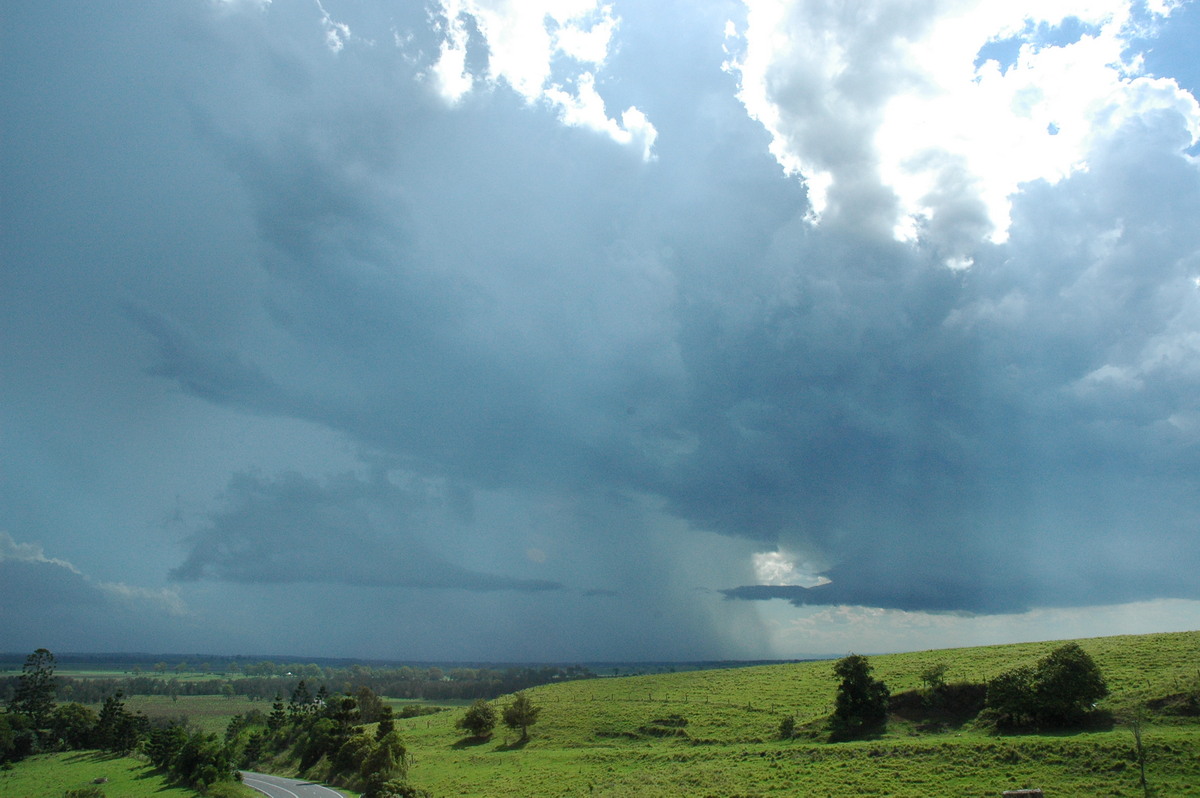 cumulonimbus thunderstorm_base : Parrots Nest, NSW   13 December 2004