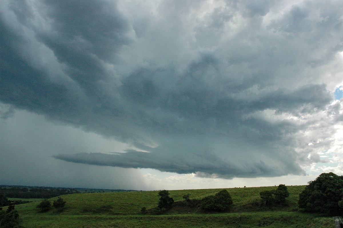 shelfcloud shelf_cloud : Parrots Nest, NSW   13 December 2004