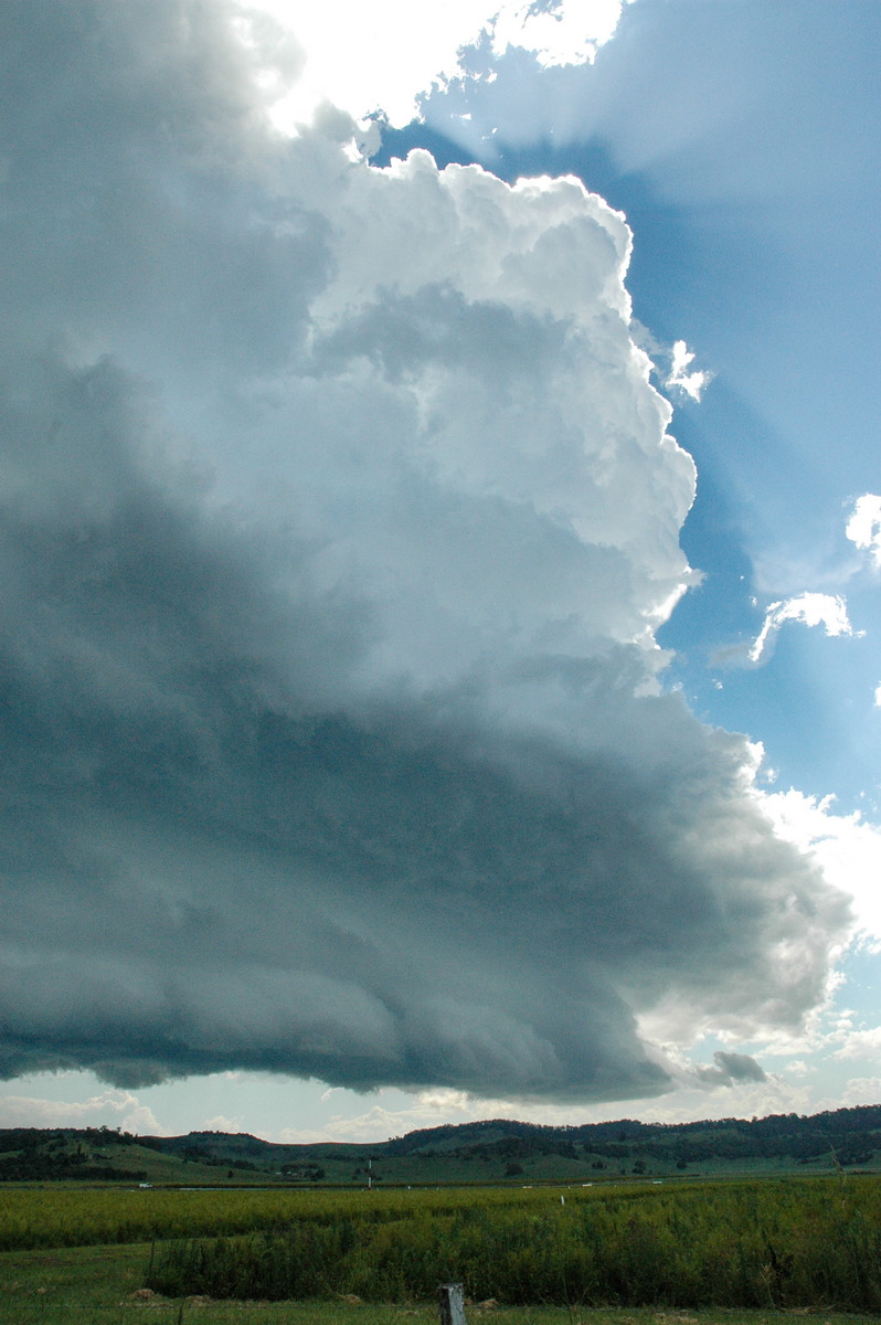 updraft thunderstorm_updrafts : Lismore, NSW   13 December 2004