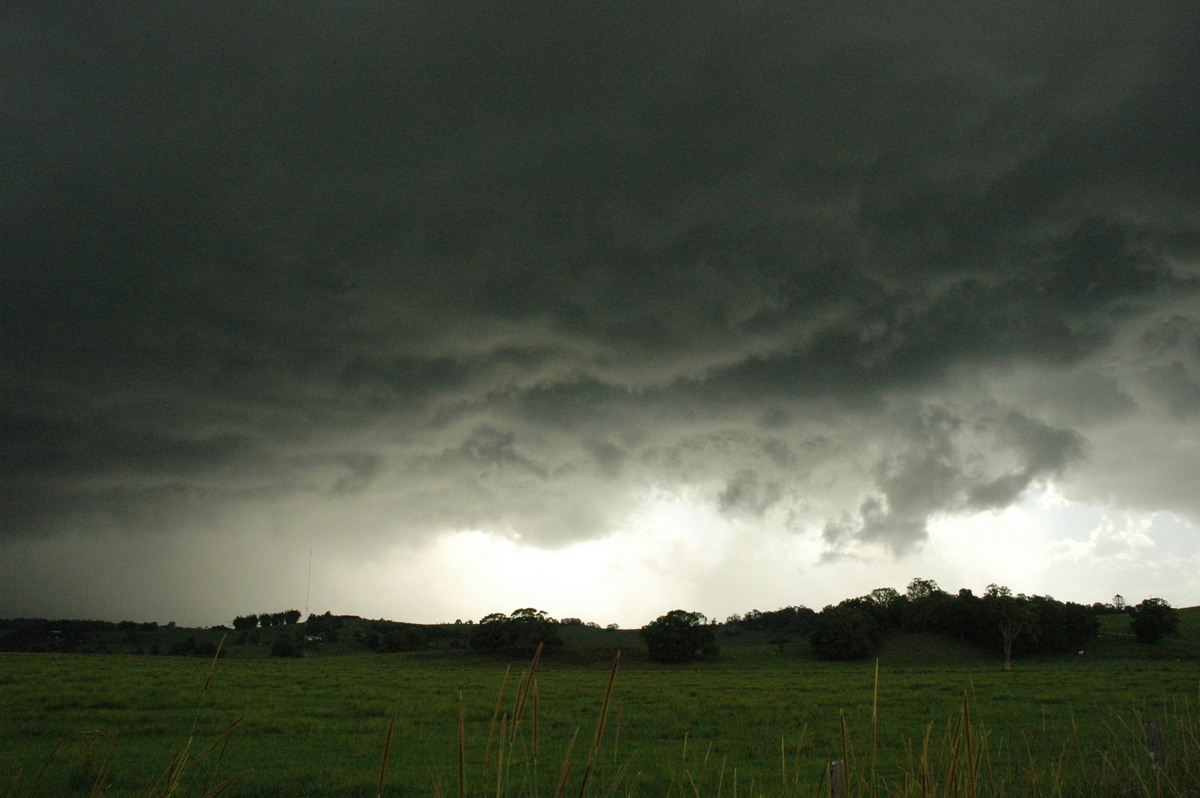 wallcloud thunderstorm_wall_cloud : Eltham, NSW   13 December 2004