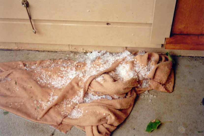 hailstones hail_stones : McLeans Ridges, NSW   13 December 2004