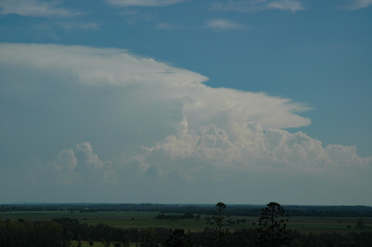 thunderstorm cumulonimbus_incus : Parrots Nest, NSW   19 December 2004