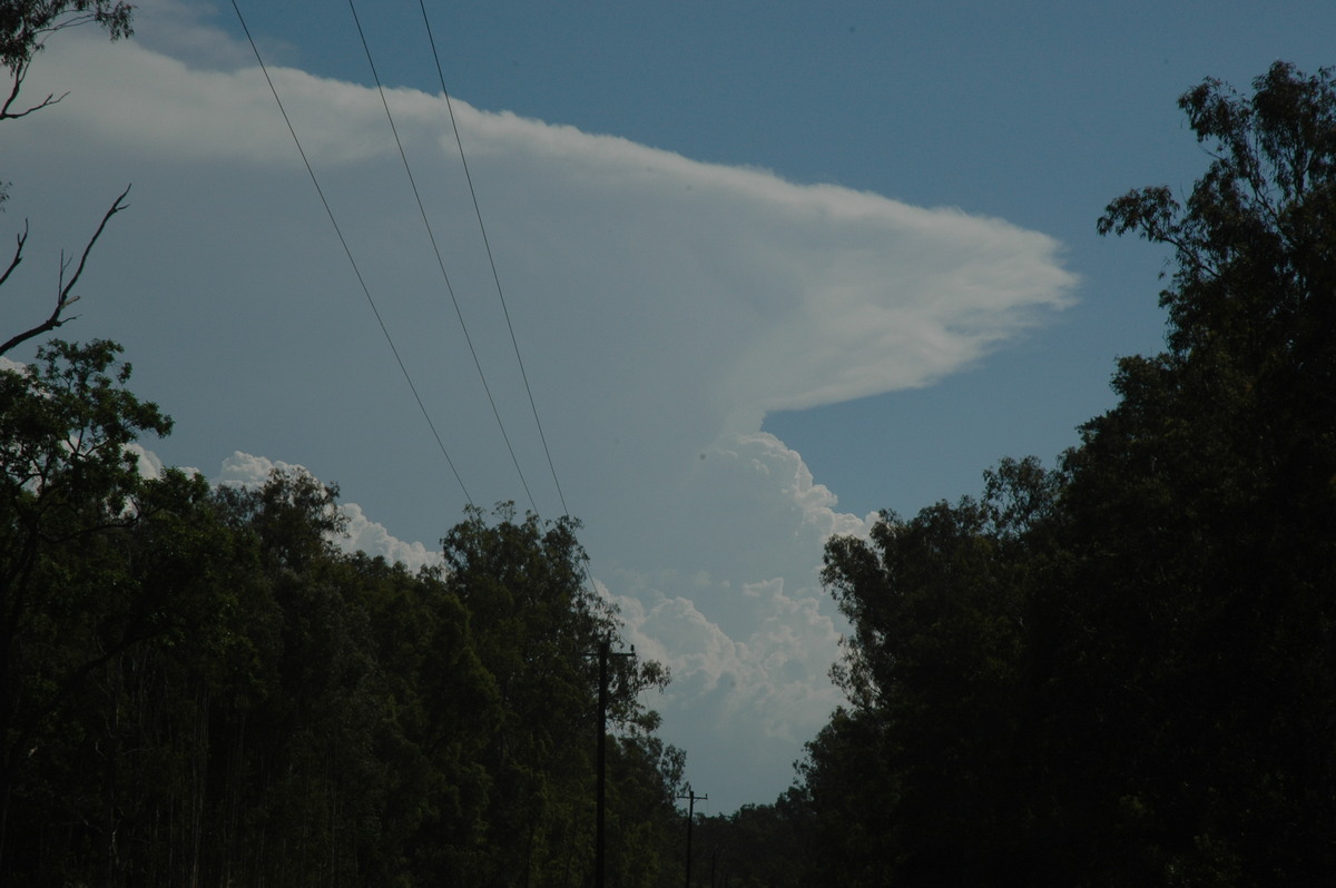 anvil thunderstorm_anvils : Coraki, NSW   19 December 2004