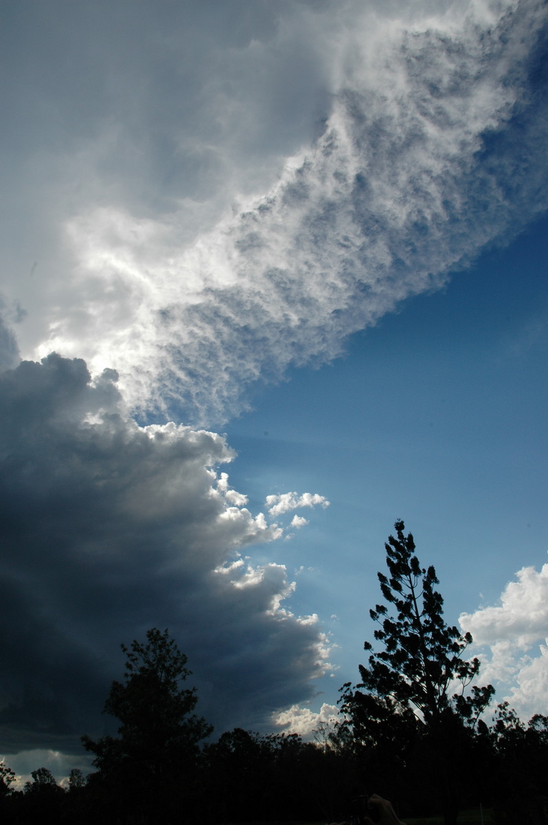 anvil thunderstorm_anvils : near Whiporie, NSW   19 December 2004