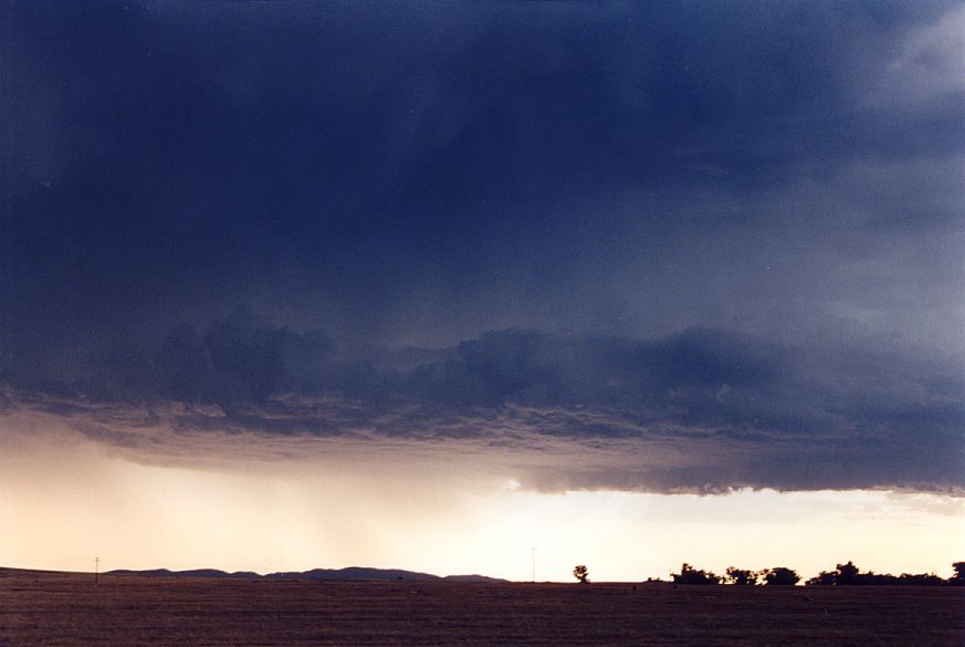 favourites jimmy_deguara : SW of Dubbo, NSW   23 December 2004