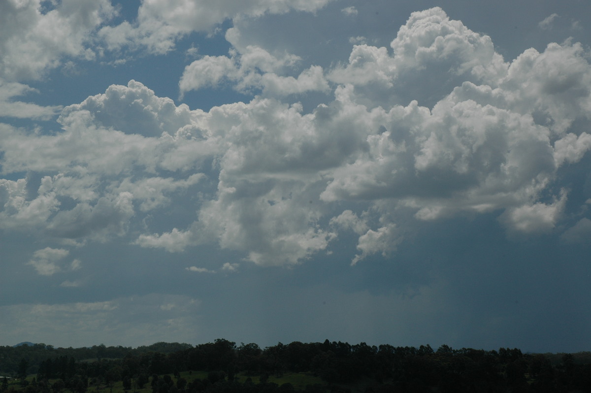 cumulus congestus : McLeans Ridges, NSW   23 December 2004