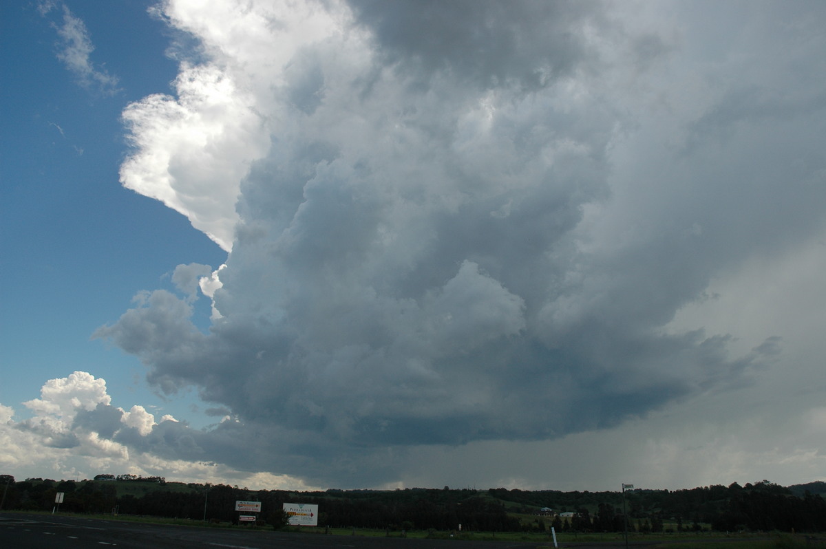 thunderstorm cumulonimbus_incus : N of Lismore, NSW   23 December 2004