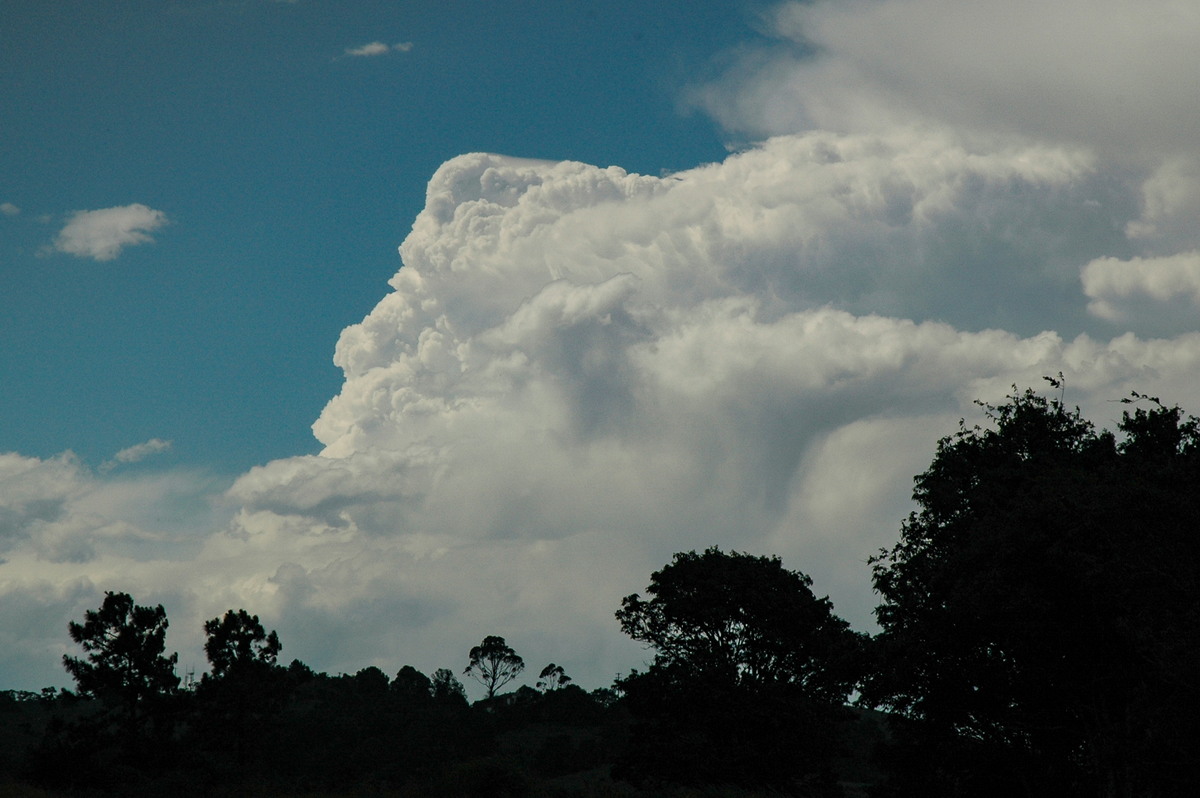 thunderstorm cumulonimbus_incus : Parrots Nest, NSW   23 December 2004