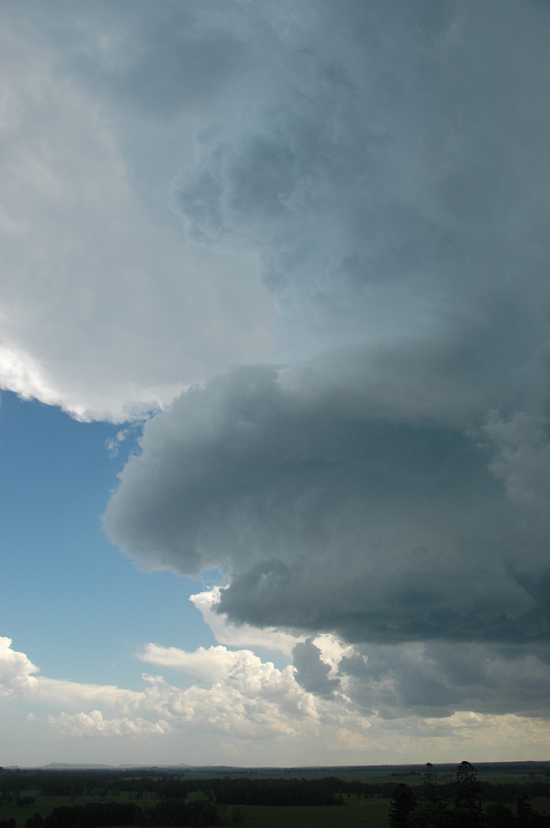 updraft thunderstorm_updrafts : Parrots Nest, NSW   23 December 2004