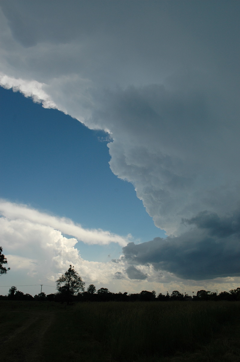 updraft thunderstorm_updrafts : Coraki, NSW   23 December 2004