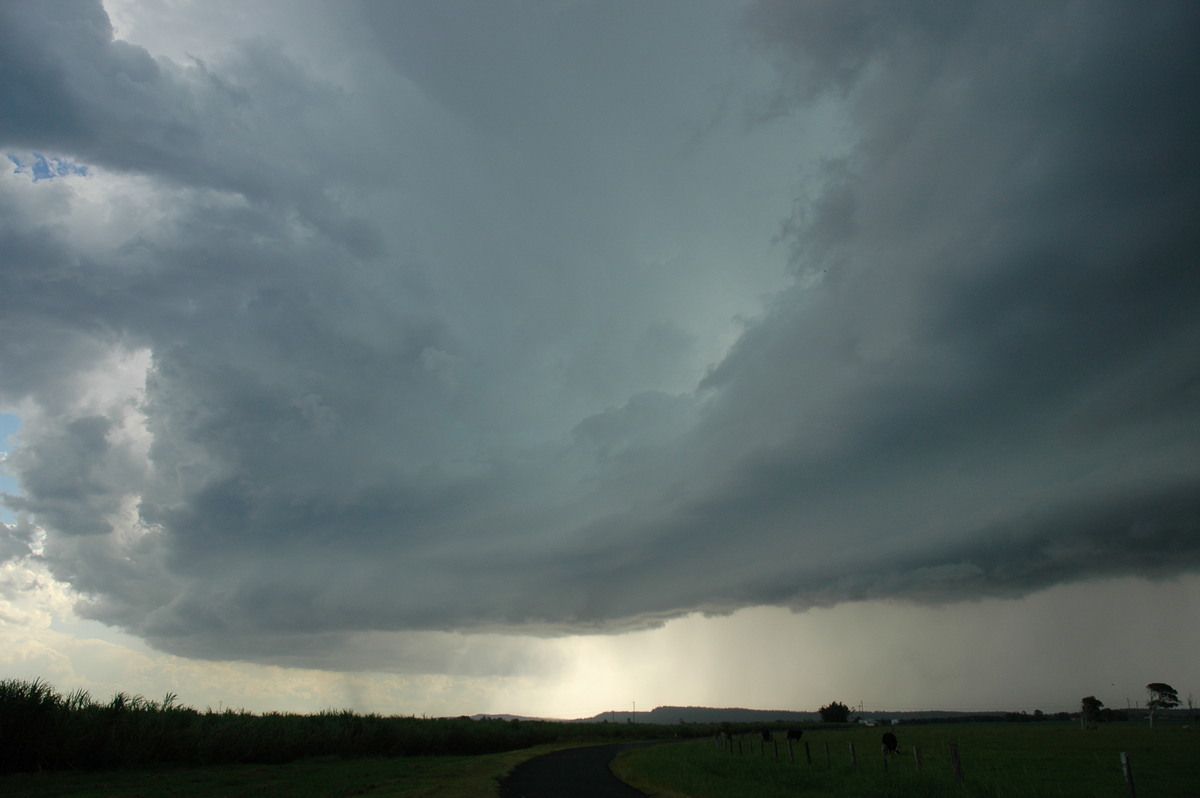 shelfcloud shelf_cloud : Woodburn, NSW   23 December 2004