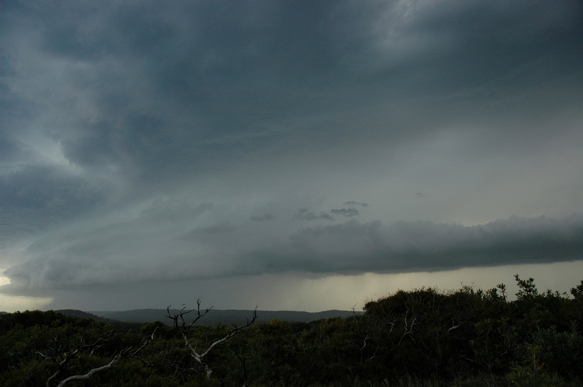 rollcloud roll_cloud : Evans Head, NSW   23 December 2004