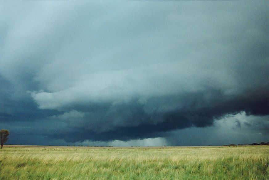 cumulonimbus supercell_thunderstorm : NE of Narrabri, NSW   27 December 2004