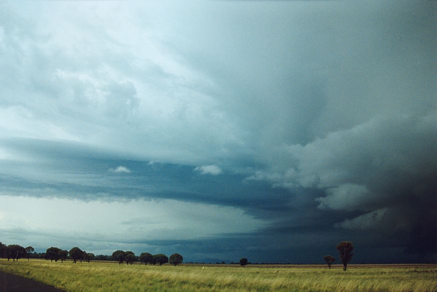 cumulonimbus supercell_thunderstorm : NE of Narrabri, NSW   27 December 2004