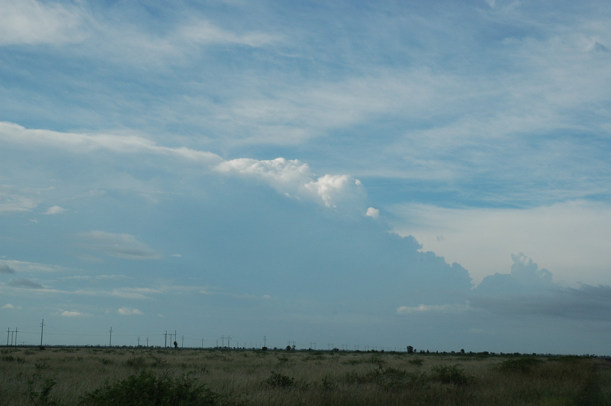 thunderstorm cumulonimbus_incus : S of Moree, NSW   27 December 2004