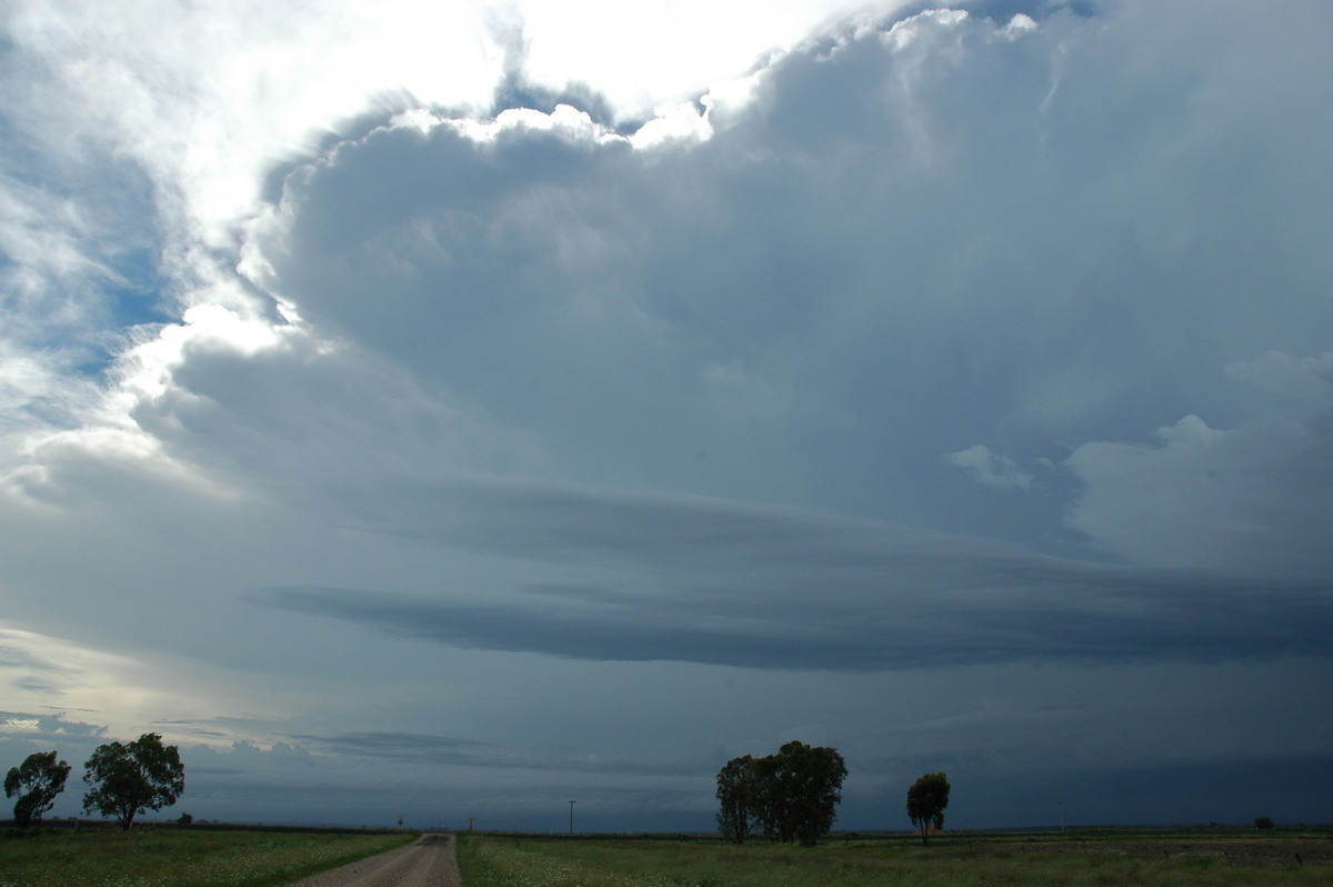 anvil thunderstorm_anvils : N of Narrabri, NSW   27 December 2004