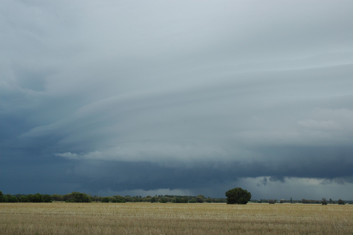 wallcloud thunderstorm_wall_cloud : N of Narrabri, NSW   27 December 2004