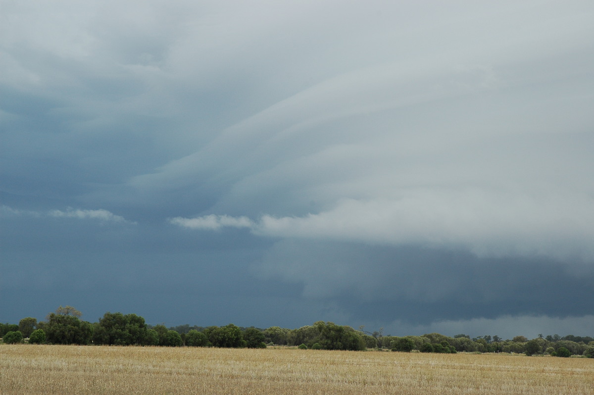 cumulonimbus supercell_thunderstorm : N of Narrabri, NSW   27 December 2004