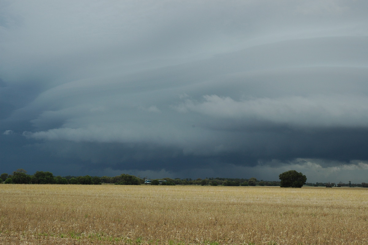 cumulonimbus supercell_thunderstorm : N of Narrabri, NSW   27 December 2004