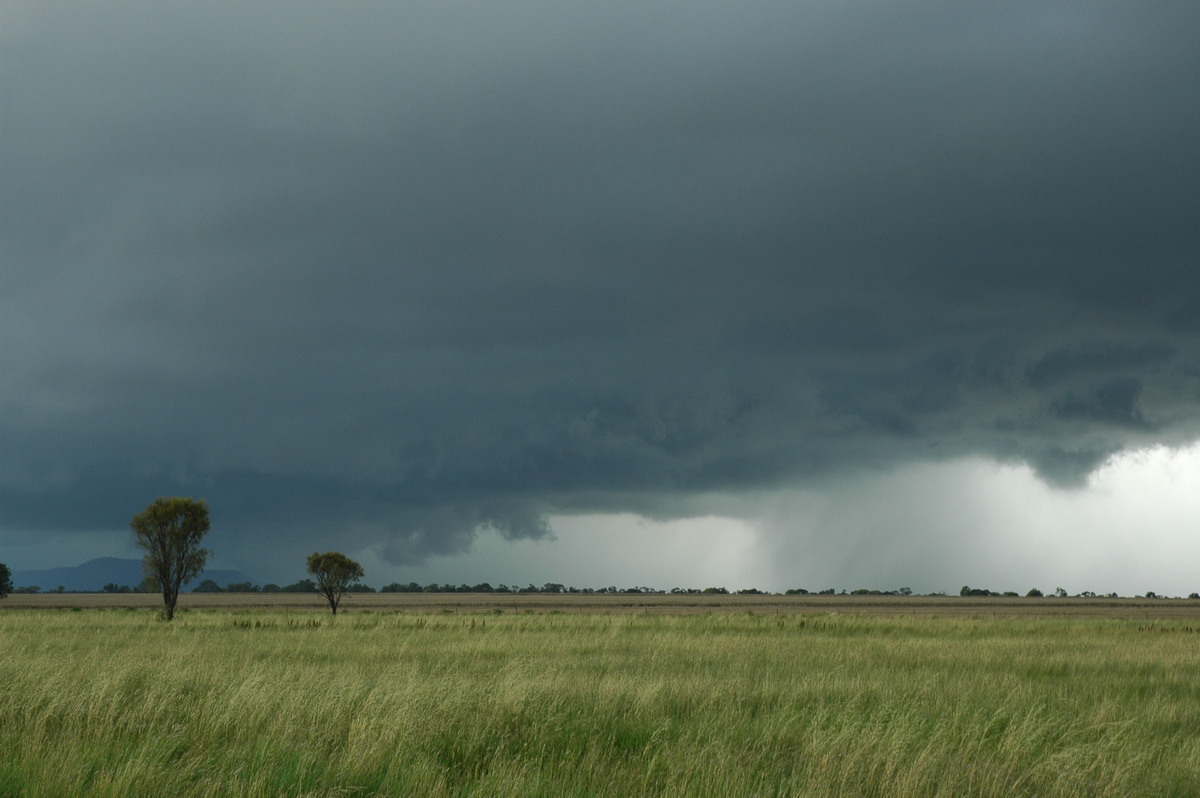 raincascade precipitation_cascade : near Narrabri, NSW   27 December 2004