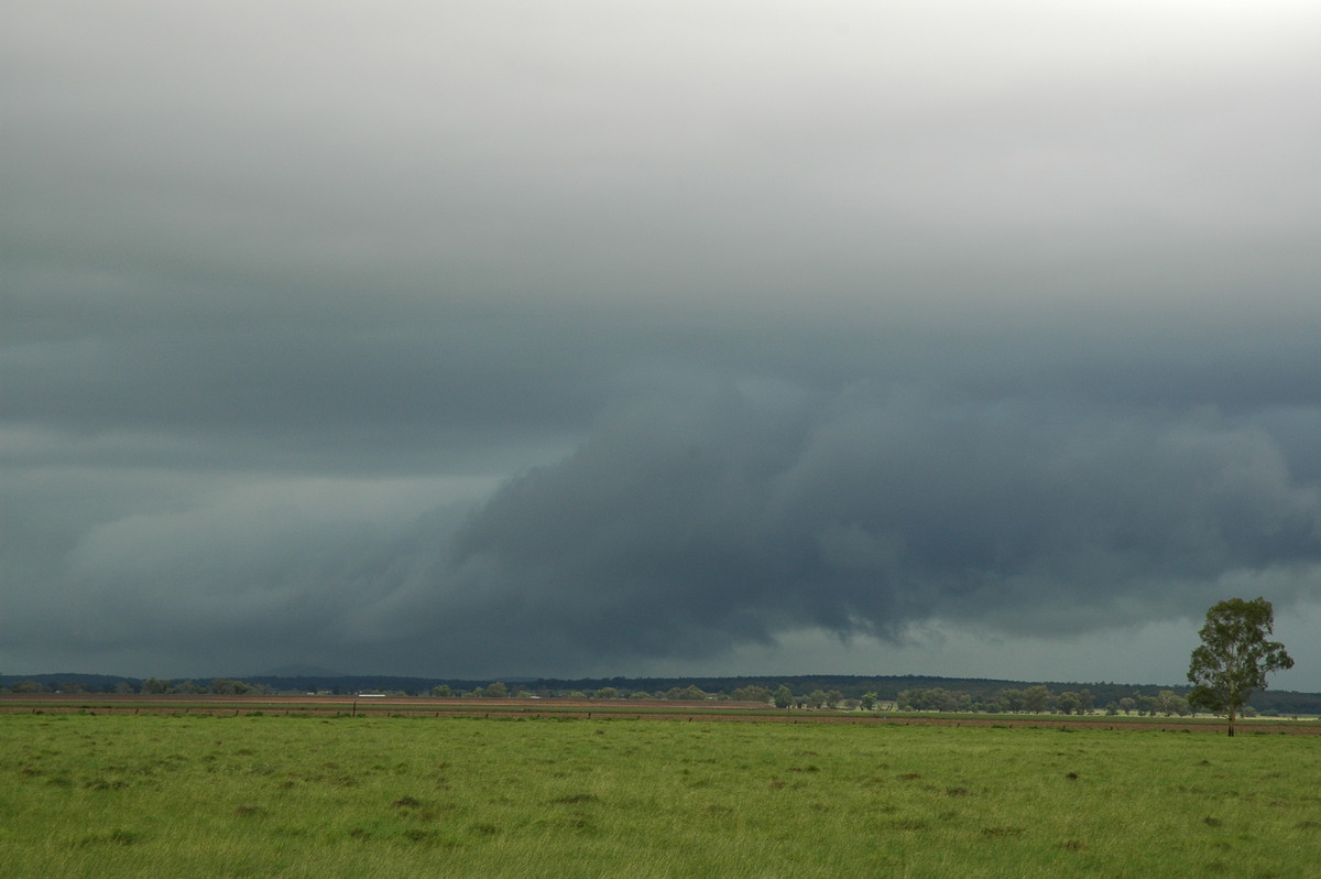 cumulonimbus thunderstorm_base : near Narrabri, NSW   27 December 2004