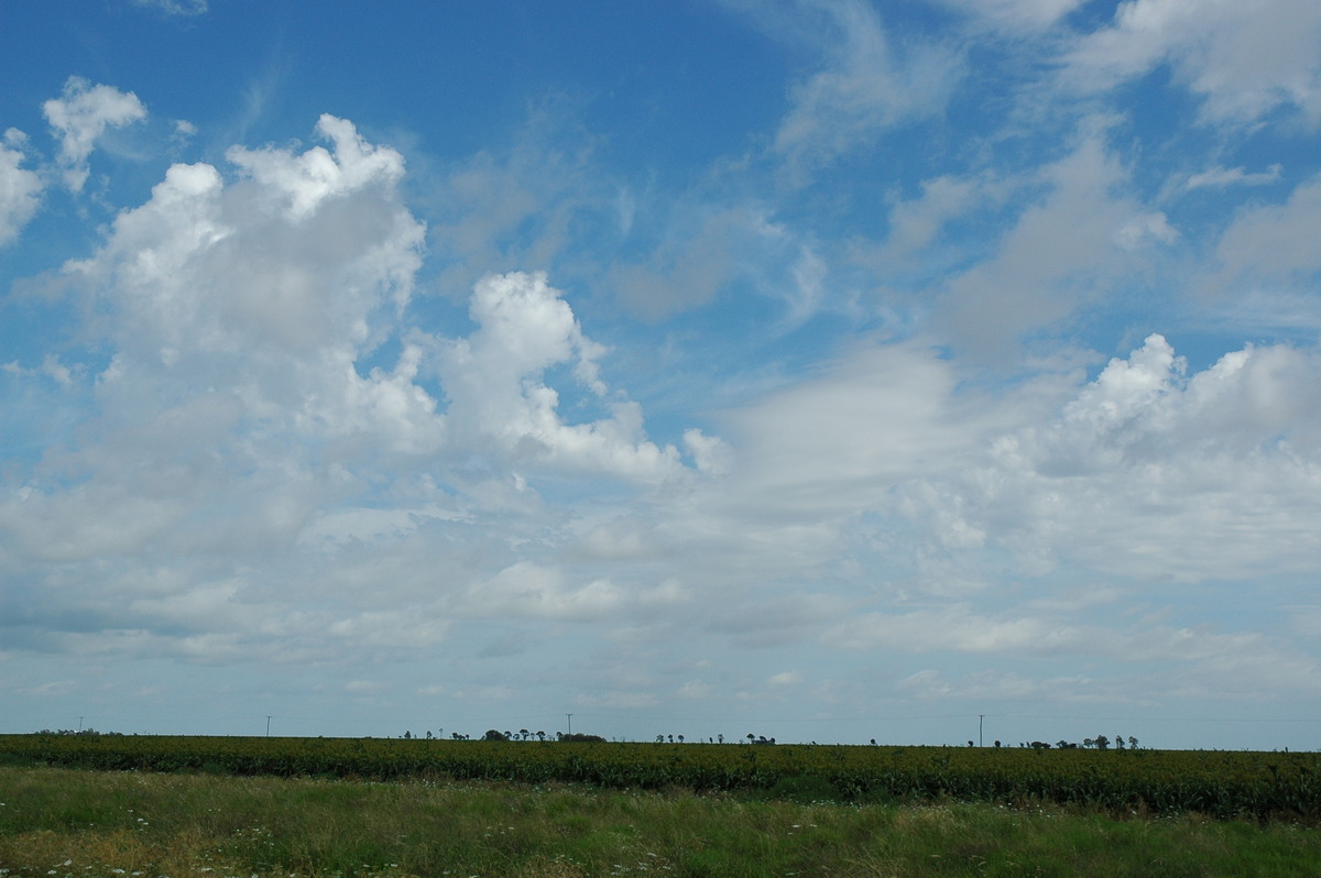 altocumulus castellanus : S of Moree, NSW   27 December 2004