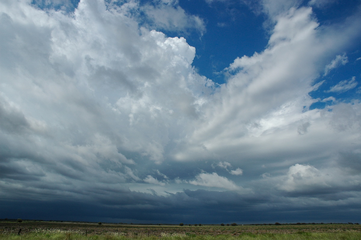 thunderstorm cumulonimbus_incus : S of Moree, NSW   27 December 2004