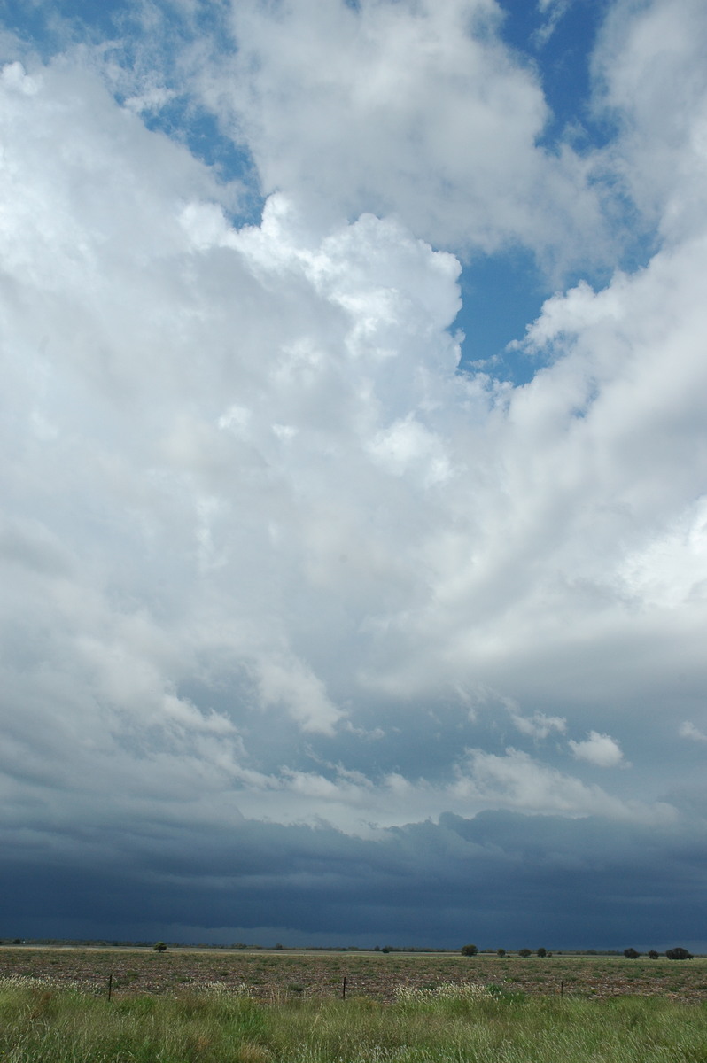 thunderstorm cumulonimbus_incus : S of Moree, NSW   27 December 2004