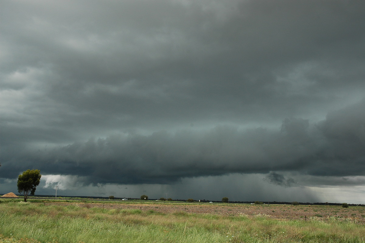 raincascade precipitation_cascade : S of Moree, NSW   27 December 2004