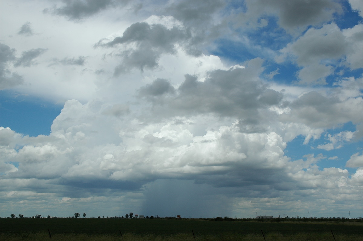 thunderstorm cumulonimbus_calvus : S of Moree, NSW   27 December 2004