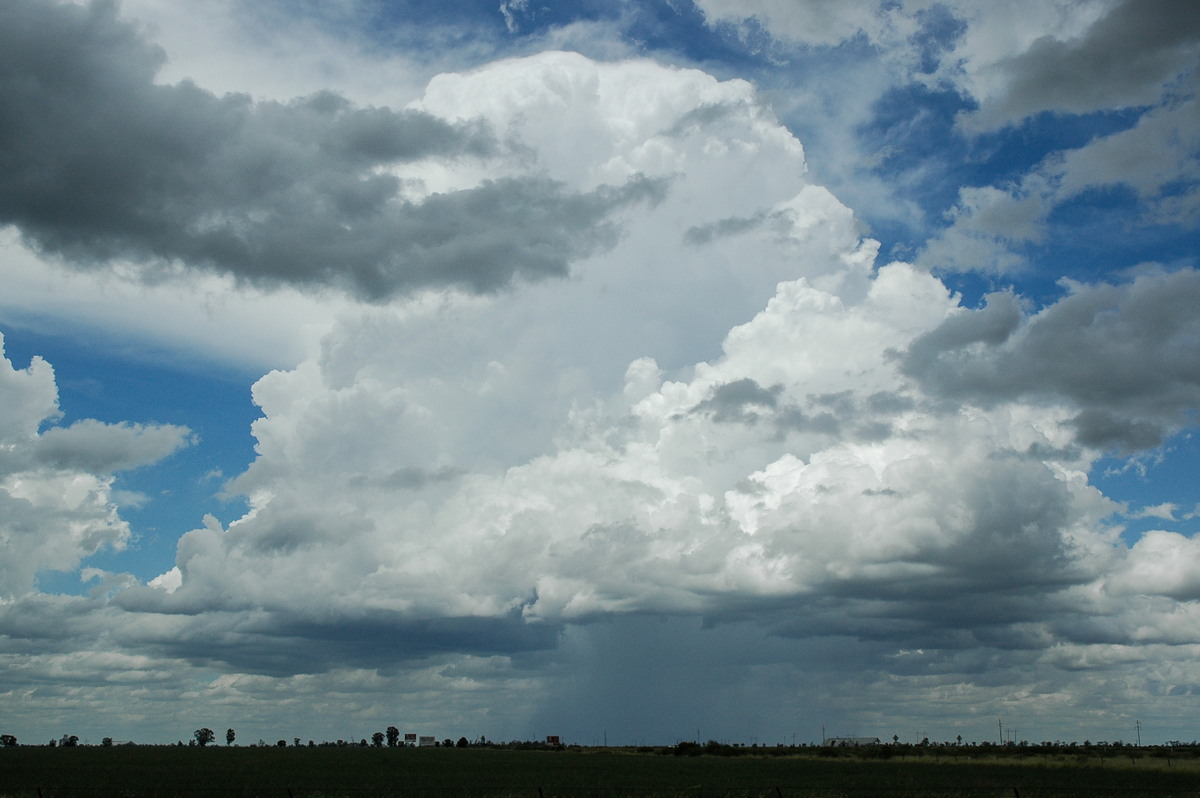 favourites michael_bath : Moree, NSW   27 December 2004