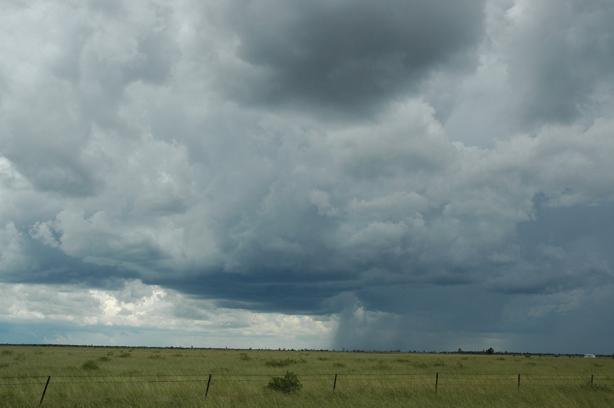 raincascade precipitation_cascade : S of Moree, NSW   27 December 2004