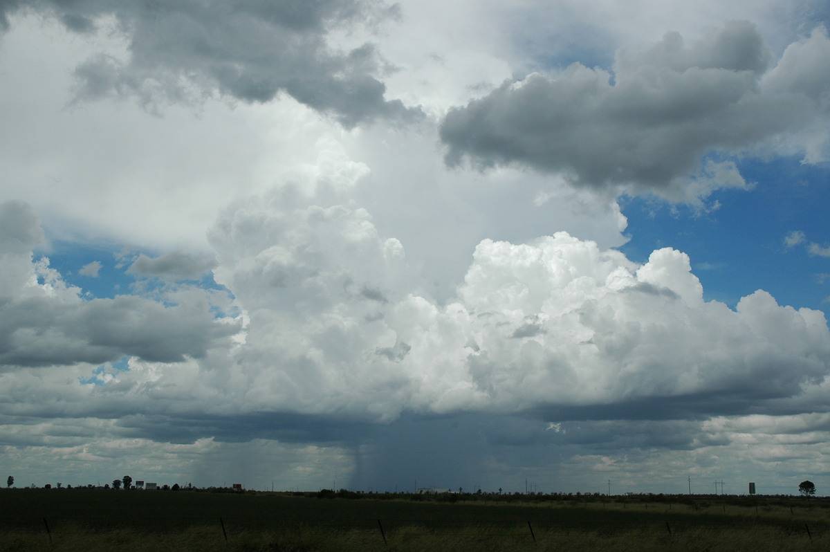 raincascade precipitation_cascade : S of Moree, NSW   27 December 2004