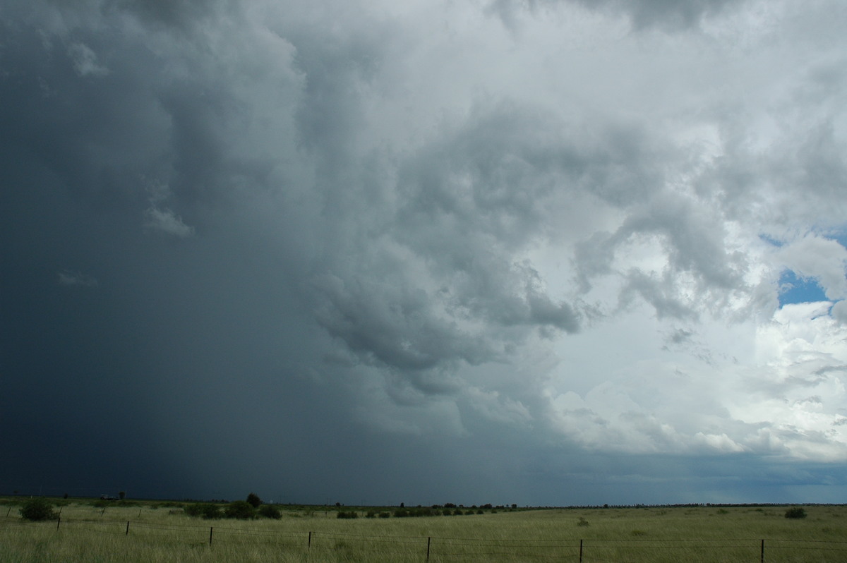 raincascade precipitation_cascade : S of Moree, NSW   27 December 2004