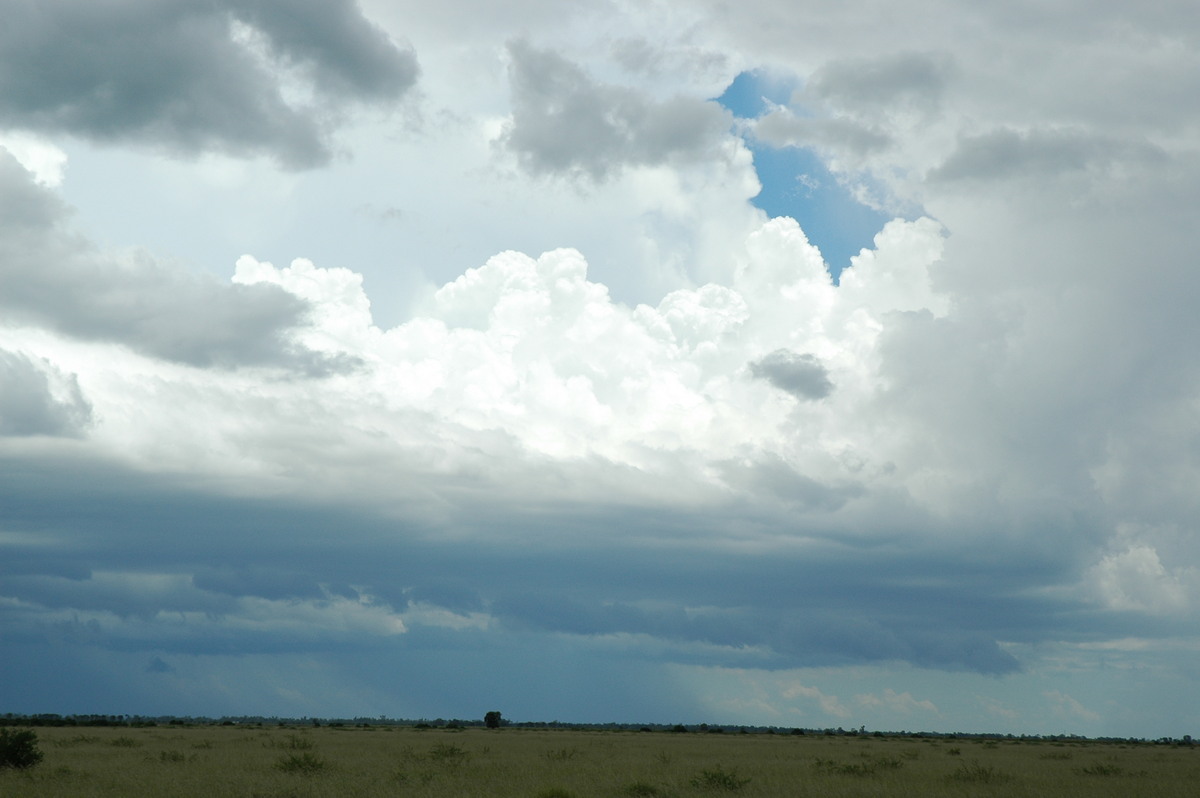 thunderstorm cumulonimbus_incus : S of Moree, NSW   27 December 2004