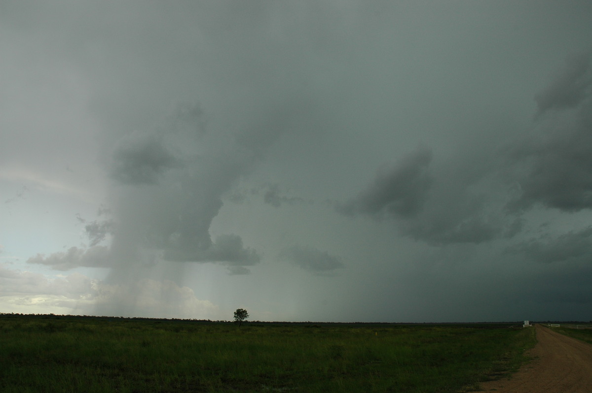 raincascade precipitation_cascade : N of Moree, NSW   27 December 2004