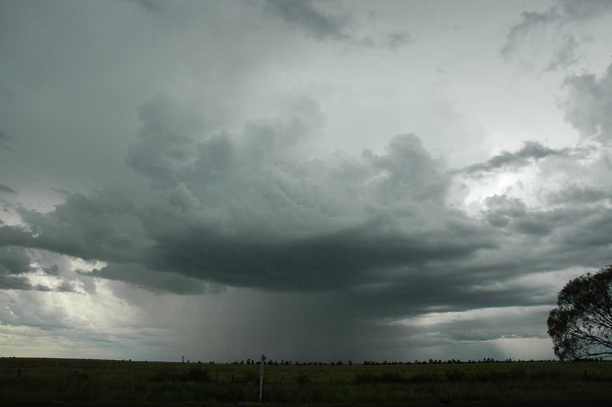 raincascade precipitation_cascade : N of Moree, NSW   27 December 2004