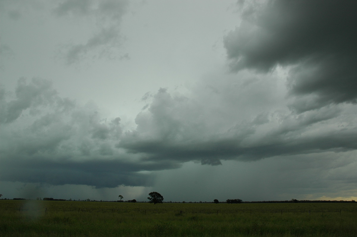 raincascade precipitation_cascade : N of Moree, NSW   27 December 2004