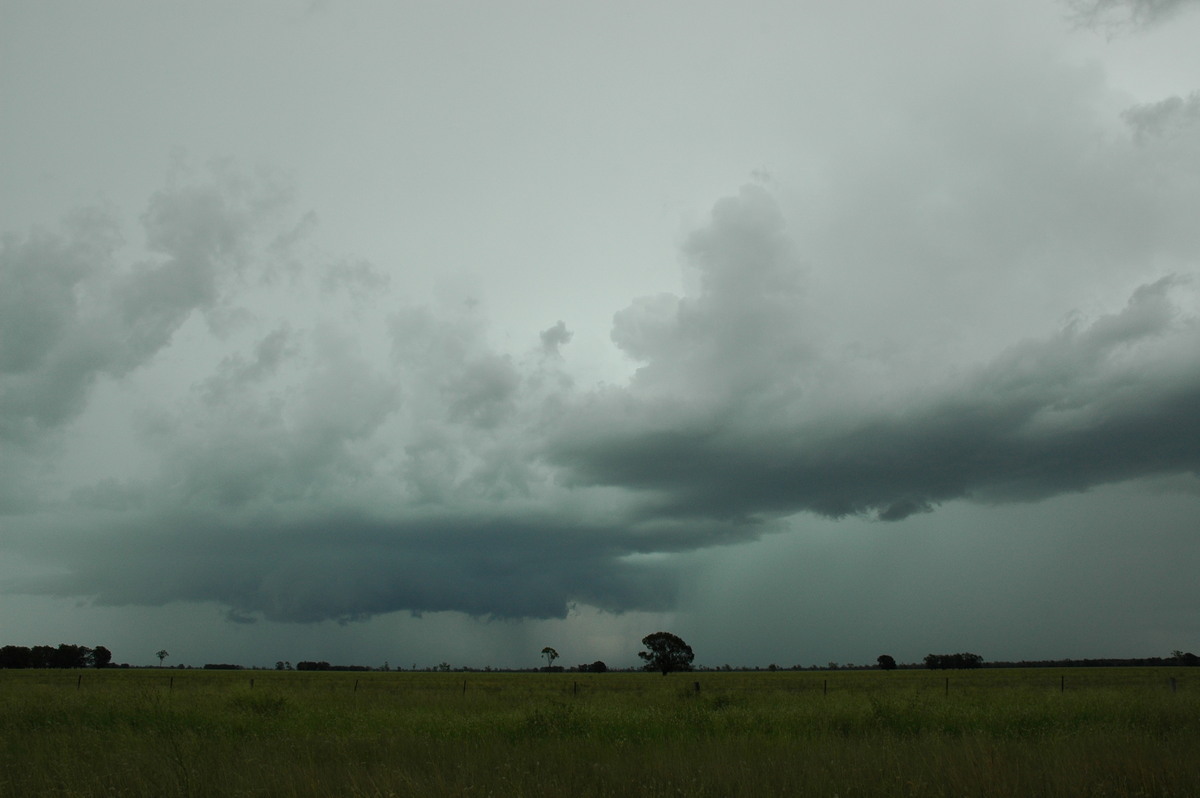 raincascade precipitation_cascade : N of Moree, NSW   27 December 2004